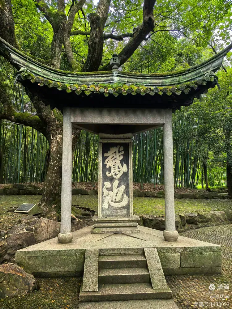 五月浙江游记行（四）:水墨兰亭大美徐渭- 华北影响力-新锐媒体，品牌网站